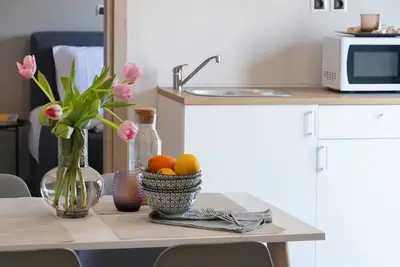 Hibou vénitien, à 1 min du phare