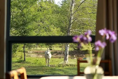 Image de Peaceful Island-style garden filled acreage