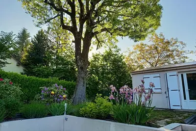 Image de A l'ombre du frêne, maison avec jardin arboré. Idéal pour les amis de la nature.
