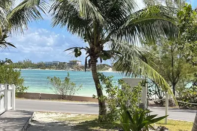 Image de Steps to Cocoa Bay & hand feeding wild turtles and rays,
