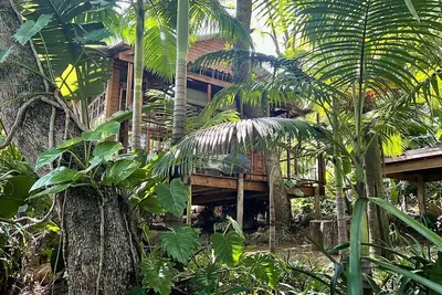 Jungle Treehouse - No Loadshedding LoerieRoep Unit 5