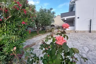 Image de Appartement de vacances Vir pour 1 - 5 personnes avec 2 chambres à coucher - Appartement de vacances