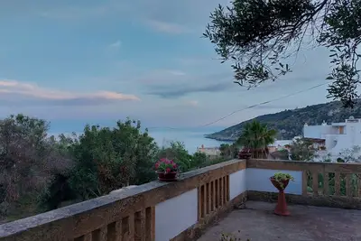 Image de A corner of paradise in the green of an olive grove just a few steps from the sea