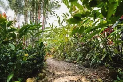 Image de Amazing Bungalow in La Fortuna, Parking #2