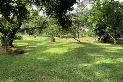 Image de Appartement F3 avec vue sur jardin à proximité de tout.