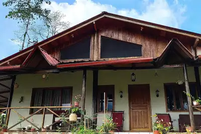 Cozy House in the Rainforest Transportation Included