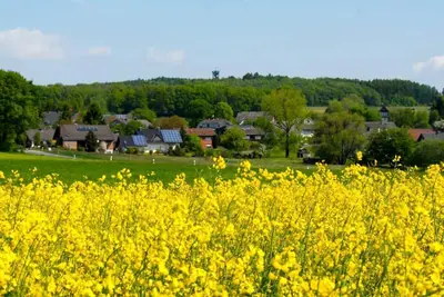 Image de Vacation home Beulskopf - relaxing in nature