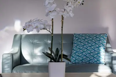 Elegant space, close to the beach, restaurants and bars!