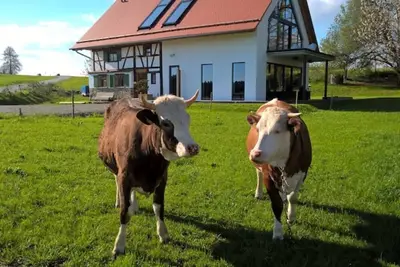 Image de Half-timbered house in the Allgäu with mountain views in a secluded location, gr. Garden & Sauna, Lake Constance