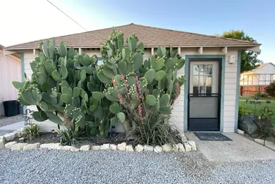 Image de 20 minutes from Carrizo Plain National Monument. Twisselman's Cactus Casa