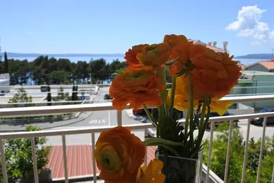 Image de Spacious family apartment near the beach