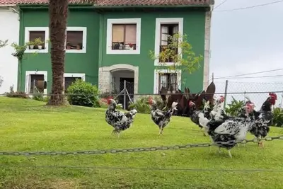Image de La Pereda Rural House