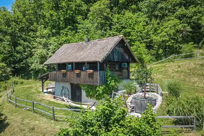 Image de Vineyard Cottage Pavlin 1, OtoÄŤec, Slovenia