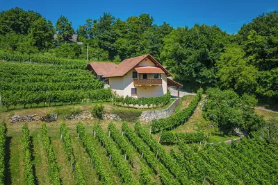Image de Vineyard Cottage Ucman, OtoÄŤec, Slovenia