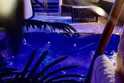 Image de La Suite Grenoble Jacuzzi et sauna privatif