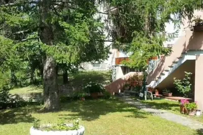 Accommodation the pine tree