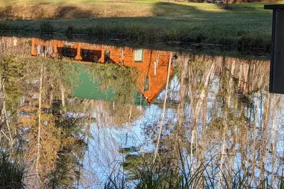 Image de Wildlife Cabin! Spring-fed Ponds! Apple Orchard!