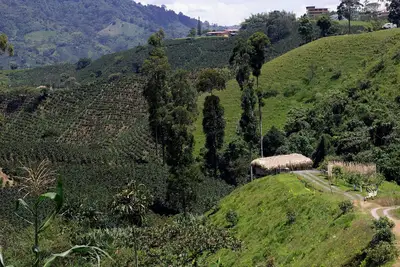 Image de Eco Hotel Glamping El SIlencio