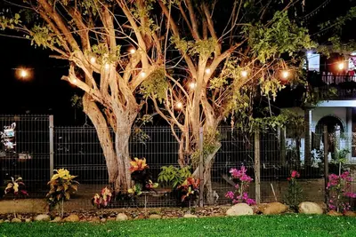 Image de Mangal Suites Roxy