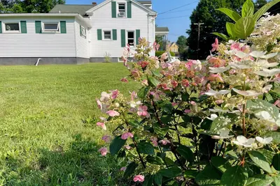 Image de Mid-Century Modern  Gem - 7 min to Allstar Vill w/Ac