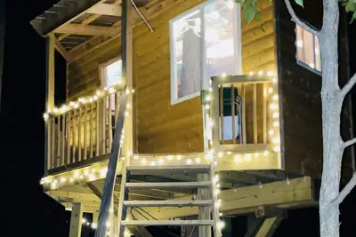 Image de Immerse yourself with nature at this unique living tree-treehouse!