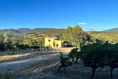 Image de Le Cabanon des Vignes, site exceptionnel au milieu des vignes