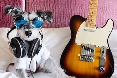 Image de Deluxe 2 Queen Beds at Hard Rock Hotel New York, Live Entertainment, Rooftop Bar