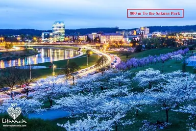 Image de River to the City - Studio 7a apartment