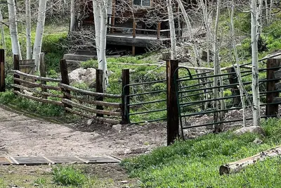 Image de Elk Country