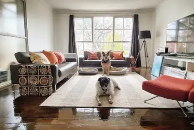 Image de Pet Friendly Inner City Comfort. Coffee Food Shops a 2min Walk