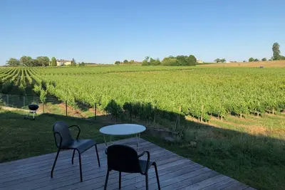 Image de Villa Ă 15 mn de Bordeaux avec piscine. Cadre exceptionnel au milieu des vignes.