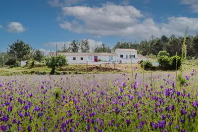 Image de Casa Alfambras | Holiday Cottage in Aljezur