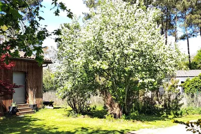 Image de Logement bucolique Chez Didier et Fernand