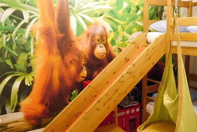 Image de Appartement-Gibraltar-Famille-Salle de bain privée