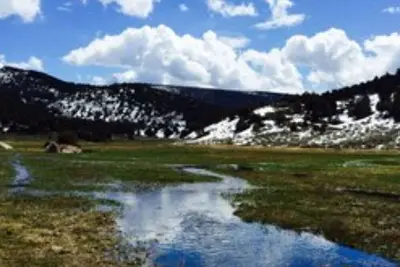 Image de Amazing Grass Creek