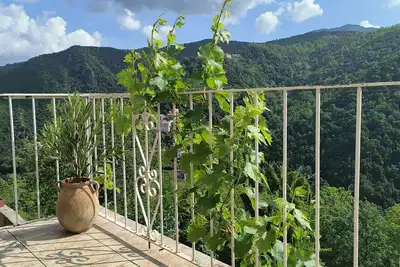 Image de Appartement 35m² avec balcon vu sur la nature!