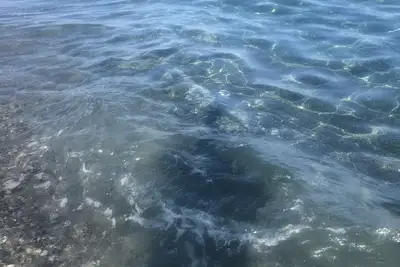 Image de Just by the beach
