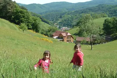 Image de Au centre de l'Alsace et déjà dans les Vosges B