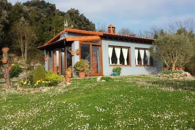 Image de the megustarural orchard