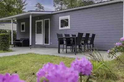Image de beau chalet sur un camping en forêt avec piscine