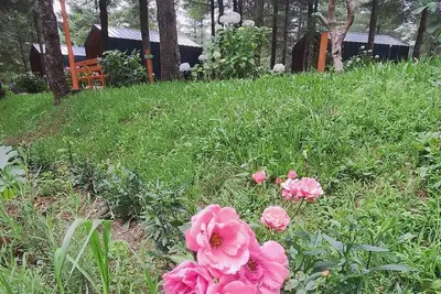 Image de Tumba Sisli Vadi