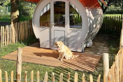 Image de Appartement de vacances Uslar pour 1 - 4 personnes - Maison de vacances