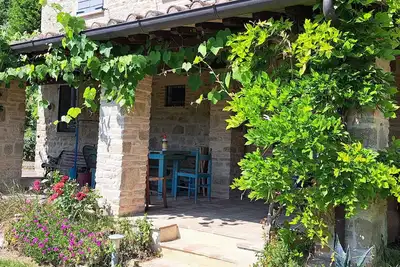 Image de Cottage with pool and veranda surrounded by olive trees.