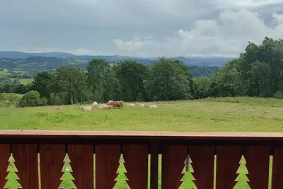 Image de La cabane de Pauline