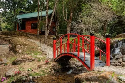 Image de magic cabin