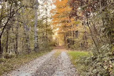 Image de Escape from reality away to this beautiful off grid cabin located in Ticonderoga