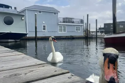 Image de Rockin’ Houseboat, stay on the water.