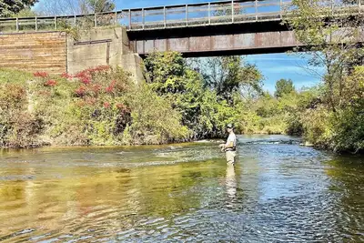 Image de Secluded Home on Betsie River
