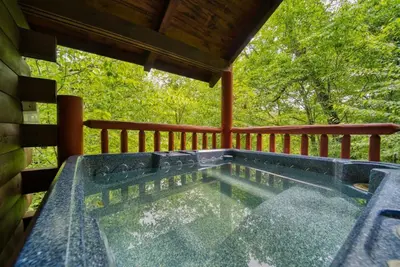 Image de Mountain Laurel! 1br Cabin with Hot Tub