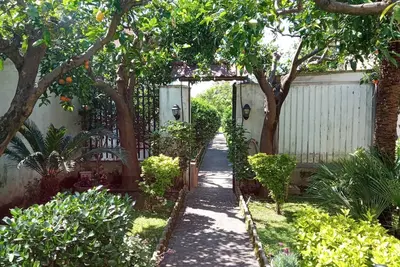 Image de The Citrus Garden